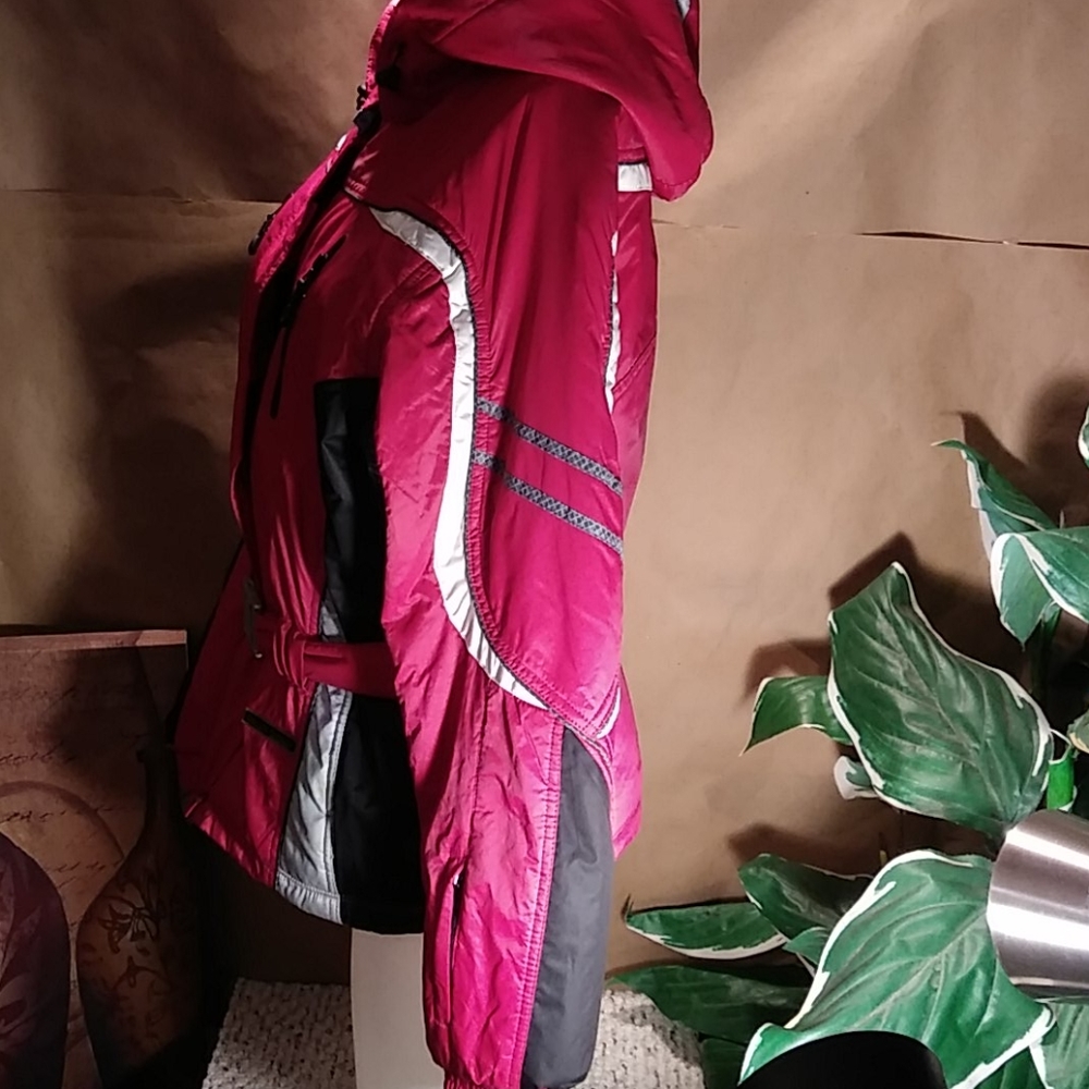 Goldwin Ski Jacket - image 2